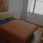 The House