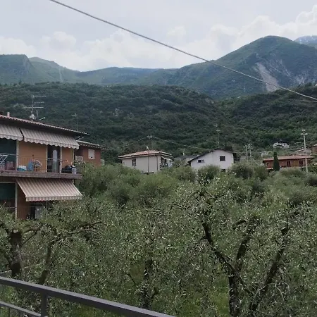 The House