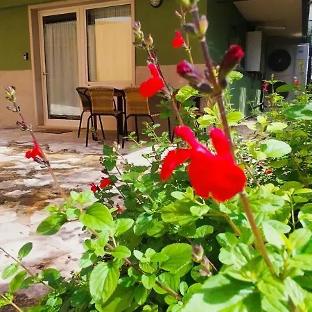 The House בית הארחה מאלצ'סינה